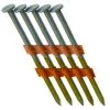Nail 21 31/4x131 Gal Vanized 2m 2 Nail 21 31/4x131 Gal Vanized 2m -Home-Building Hardware GR034HGL